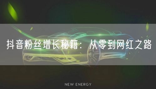 抖音粉丝增长秘籍：从零到网红之路