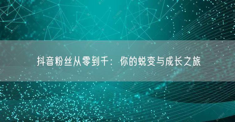 抖音粉丝从零到千：你的蜕变与成长之旅