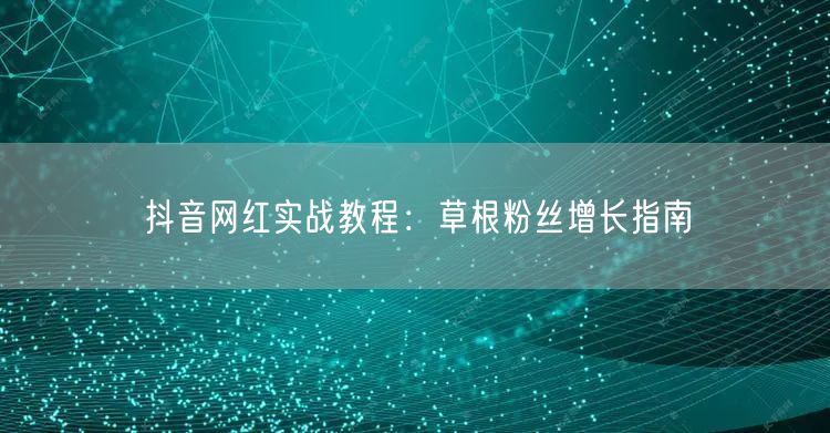 抖音网红实战教程：草根粉丝增长指南