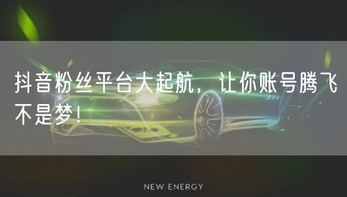 抖音粉丝平台大起航，让你账号腾飞不是梦！