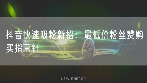 抖音快速吸粉新招：最低价粉丝赞购买指南针